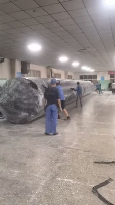 जहाज के प्रक्षेपण के लिए टिकाऊ एयरबैग 1 मीटर 30 मीटर लंबाई समुद्री जहाज के प्रक्षेपण संचालन के लिए